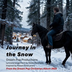 Journey in the Snow