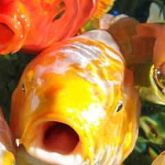 A Goldfish Named Larry