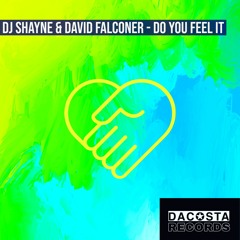 DJ Shayne & Dave Falconer - Do You Feel It(radio mix)