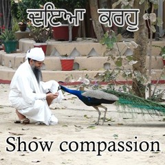 Show Compassion - Sant Baba Darshan Singh Ji (Tapoban Dhakki Sahib)