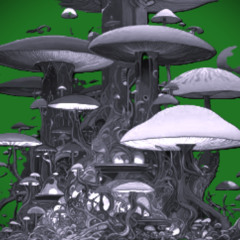 Podcast - Aldo Carpanetti. 003