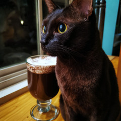 Moka'choka'latte (Mixed-NotPurred)