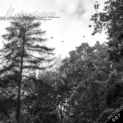 'NatureTempo' Podcast 007 - Aka-Tony