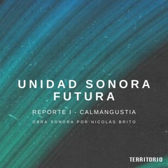 Unidad Sonora Futura - Reporte 1  - Calmangustia por Nicolás Brito