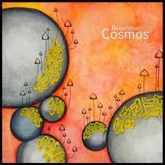 Cosmos