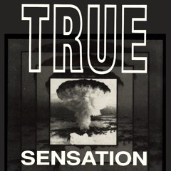 TRUE SENSATION (MASTER MIX 660)