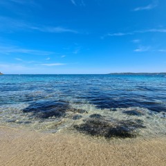 Ingo Sänger @ September 2021