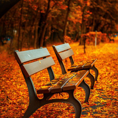 Autumn (2025)