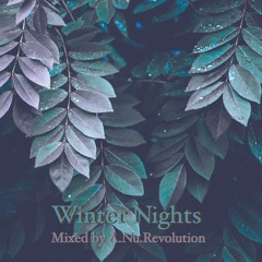 Winter Nights