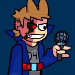 FNF VS Tord Red Fury - Leader