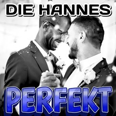 LIEBE1: PERFEKT