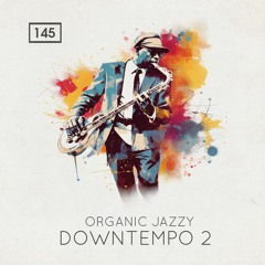 Organic Jazzy Downtempo 2