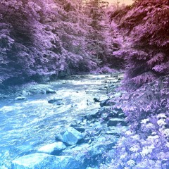 ~ закарпів ~