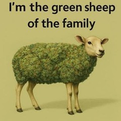 Disco Green Sheep🪬Only For Real Raver's 🤪