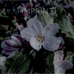 Sky States - Imprint