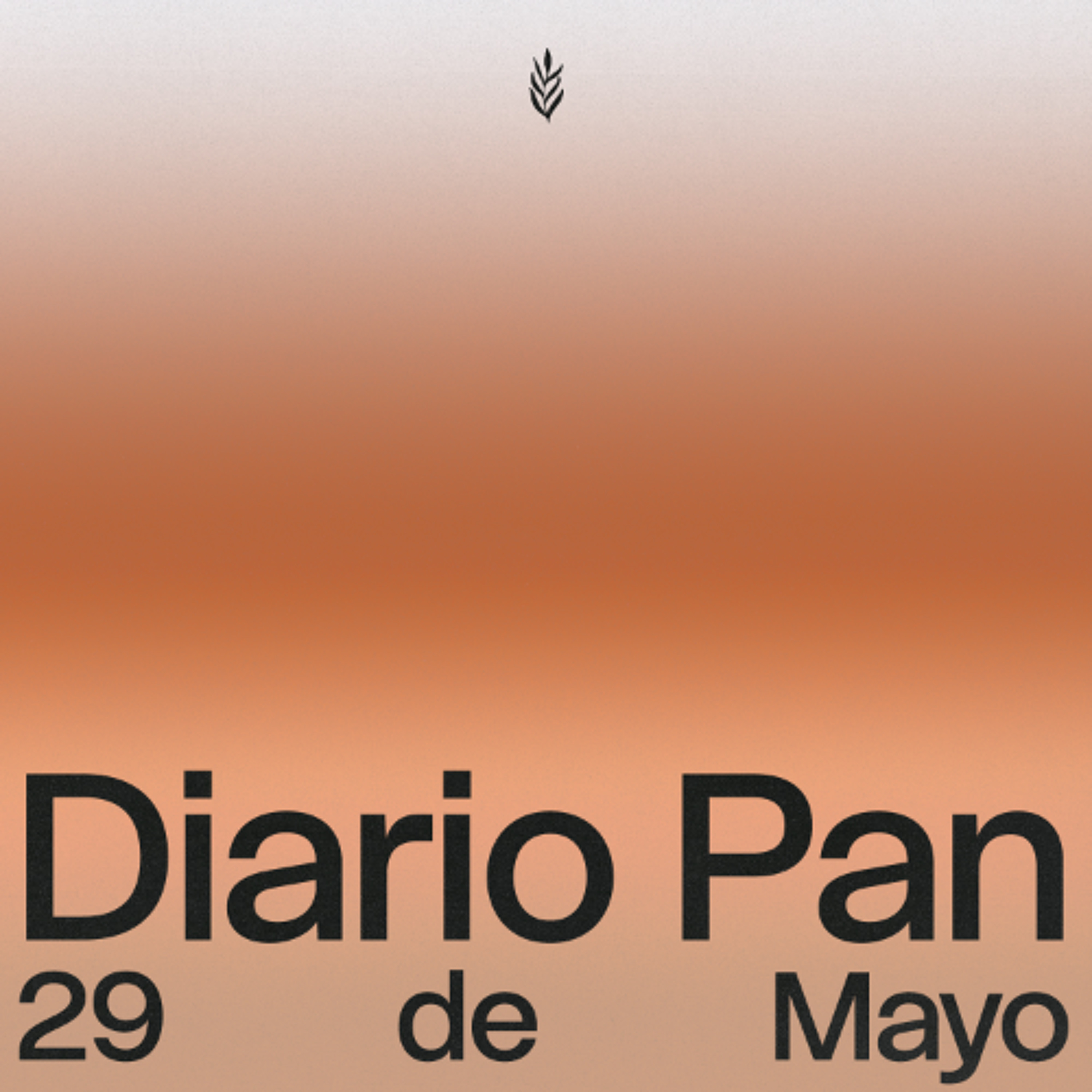 Devocional Diario Pan 29 de Mayo #DiarioPan