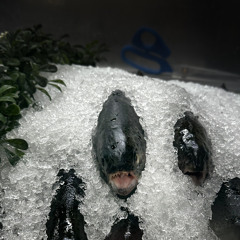 idont have the time #1 - 1/28/25, 10.34 PM.m4a