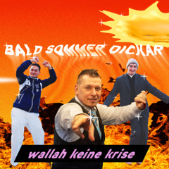 BALD SOMMER DICKAR