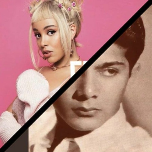 Freak Doja Cat/ Put your hand on my shoulder Paul Anka Mix