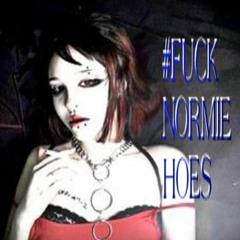 #FUCKNORMIEHOES (ANGELMANE COVER)