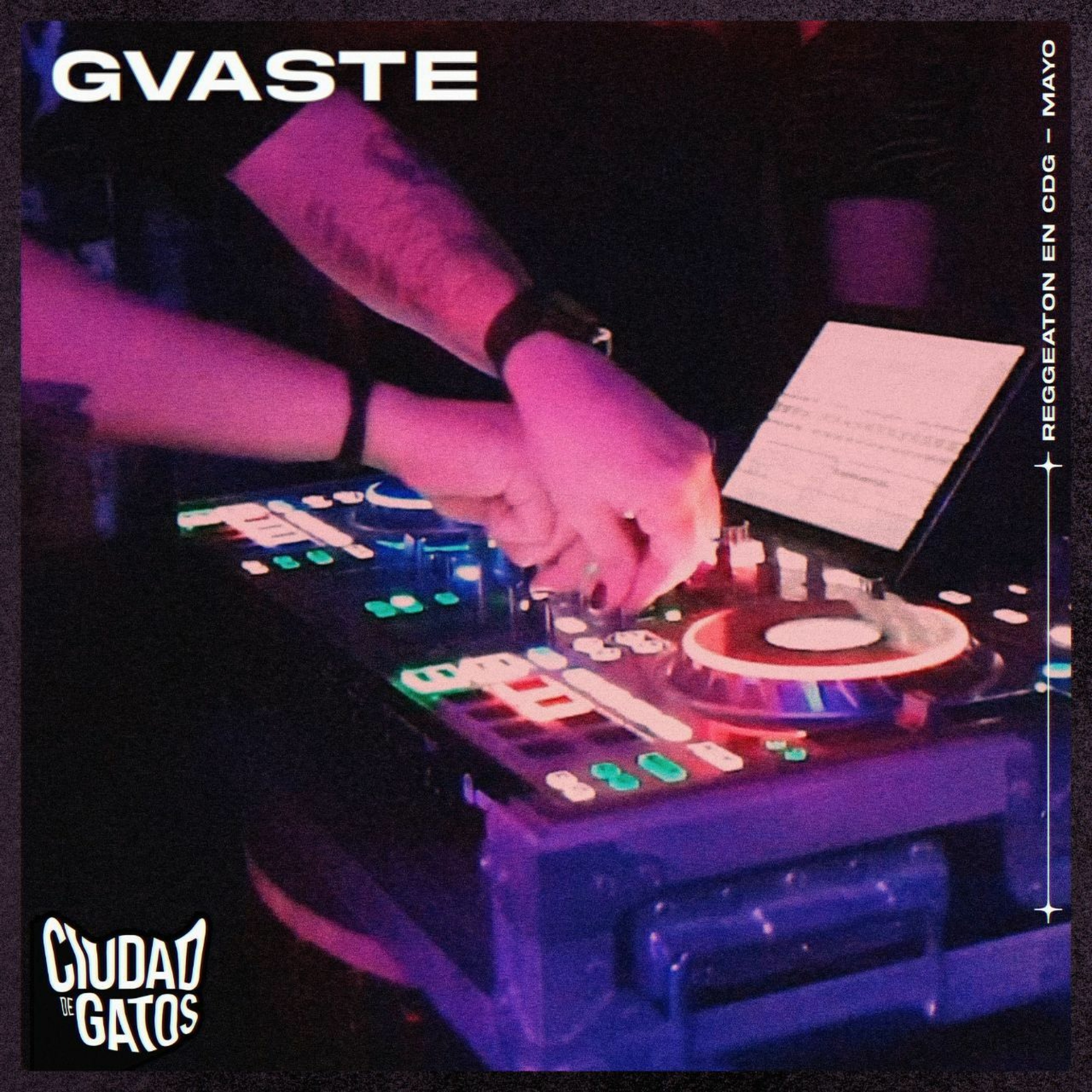 Gvaste