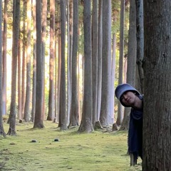 practise disappearing. part two