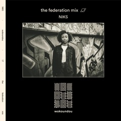 the federation mix 17 - NIKS