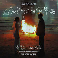 菲道尔 & 大颖  & Martin Garrix & Blinders- 在加納共和國離婚 Divorce In Aurora (FREE DOWNLOAD)