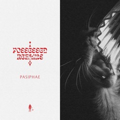 Pasiphae - Moral Of The Story (PNKMN40)