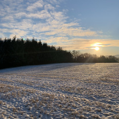 Head in Hands (FAWM Demo)