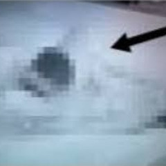 [Clip+18] 1 girl 15 hands video 1girl 15 hands reddit full 1 girl 15 hands viral video link@@ 1 girl 15 hands original video download