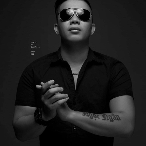 listvietmix 1
