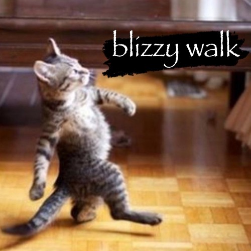 blizzy walk (prod. ftLya67)