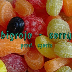 biggrojo - sorry (prod. szoris)*SONG*