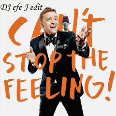 Justin Timberlake I Got This Feeling (Dj efe-J Girl like this Blend)