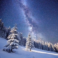 XEN VON KATZ - Snow