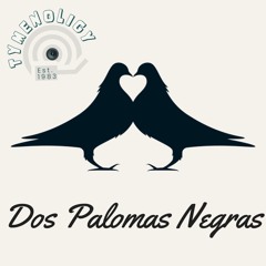 Don't Wanna Go Home - Dos Palomas Negras