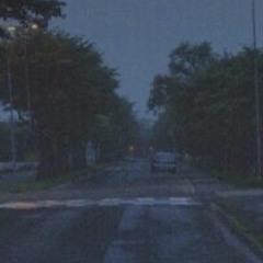 everyone is dumb //slowed.//