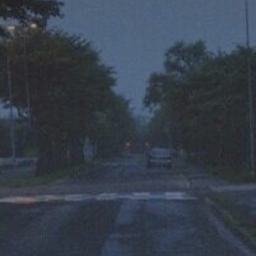 everyone is dumb //slowed.//