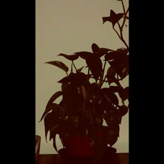 Scarborough Fair(Simon & Garfunkel)/Prisoner of Mars(Stereolab)