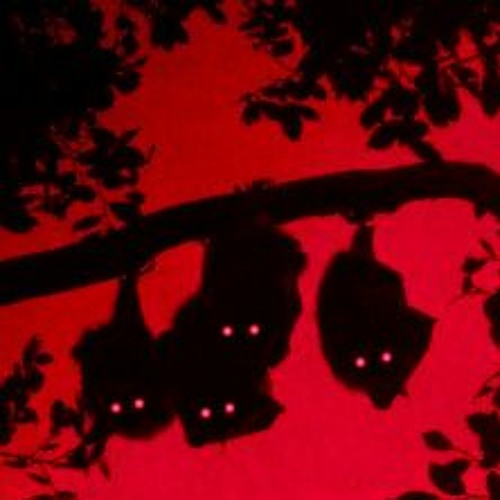 𝐄𝐂𝐇𝐎𝐋𝐎𝐂𝐀𝐓𝐈𝐎𝐍 [𝐏𝐑𝐎𝐃. 𝐆𝐑𝐈𝐌𝐆𝐎𝐁𝐋𝐈𝐍]