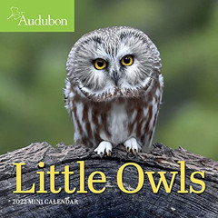 Read PDF 🖋️ Audubon Little Owls Mini Wall Calendar 2022 by  National Audubon Society