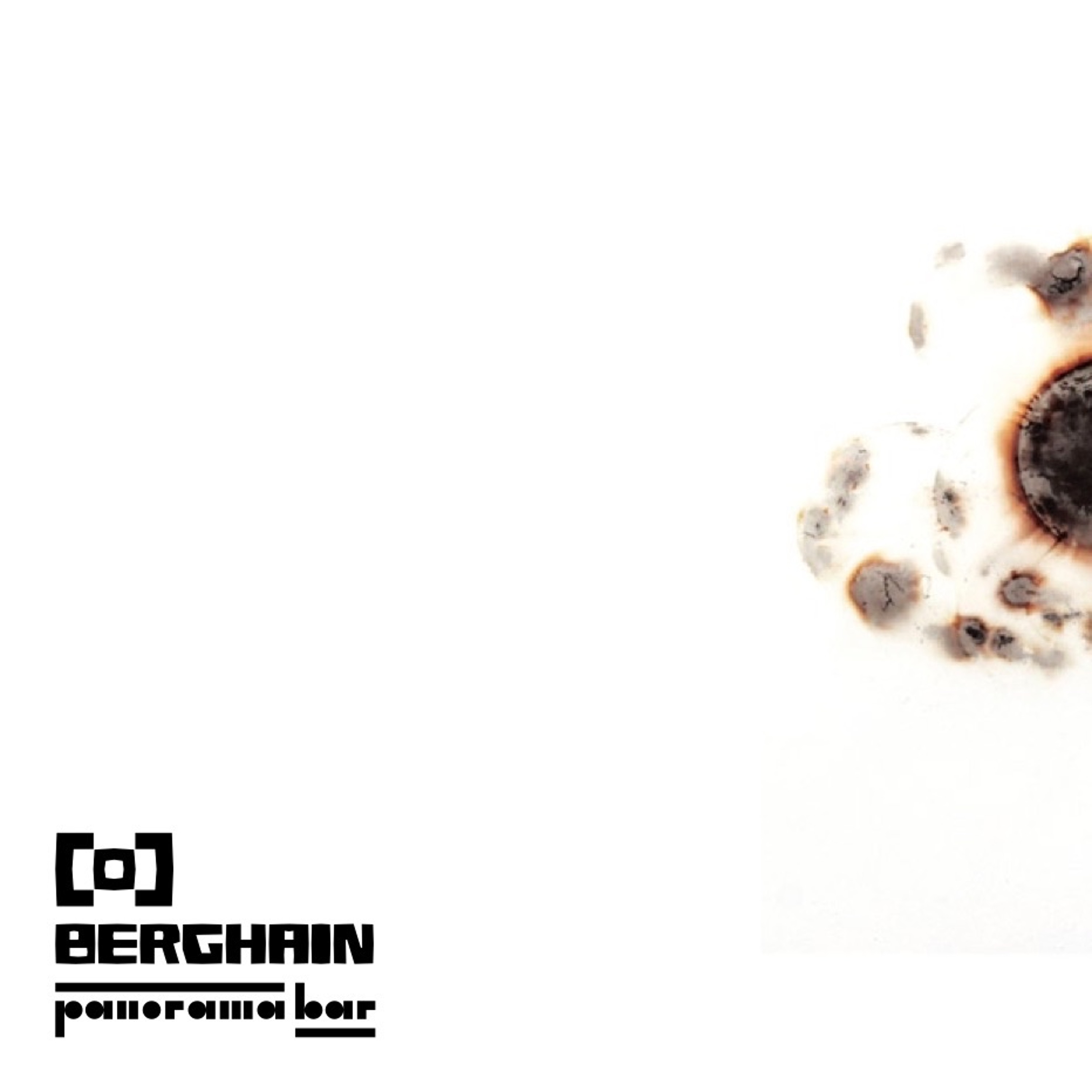 Berghain Opening Set January 2013 episode artwork