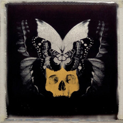 English Ghosts (feat. John Robb) [Full Version]