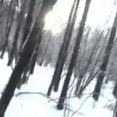 black snow