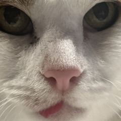 blep (prod. timmy touch)