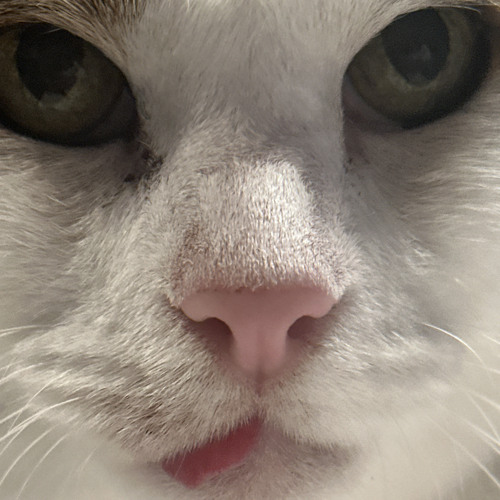 blep (prod. timmy touch)