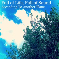 Full of Life, Full Of Sound Sound