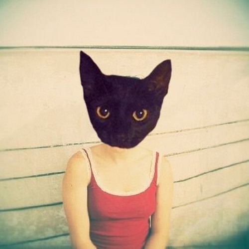 notmyproblem  prod kittyfresh2k14 — cover