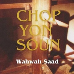 Chop Yon Soun (Aces Riddim) by Wahwah Saad